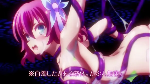 Watch No Game No Life (2014) - Fanservice Compilation energy Clips